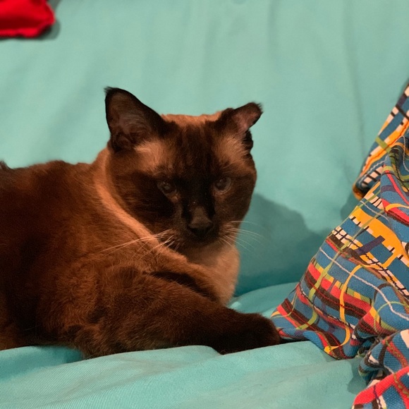 Meet your Posher, Michael - Picture 1 of 1